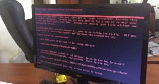 Yang Harus Kamu Tahu Tentang Ransomware Petya