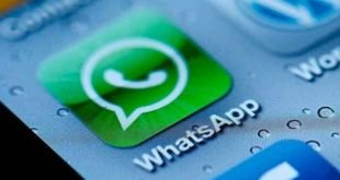 WhatsApp Uji Coba Fitur Bisnis