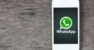 Ternyata Ada Konten Pornografi di WhatsApp