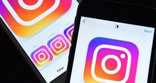 Jangan Selfie Dengan Hewan Liar Di Instagram