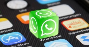 Sekarang Forward Pesan di WhatsApp Hanya Bisa Satu Kali