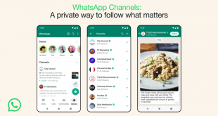 WhatsApp Umumkan Fitur Channel